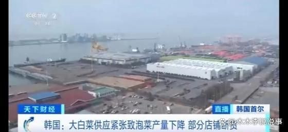 猛涨限购断货疯狂进口中国大白菜k8凯发一触即发韩国泡菜价格(图1)