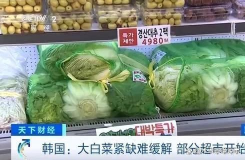 猛涨限购断货疯狂进口中国大白菜k8凯发一触即发韩国泡菜价格(图2)