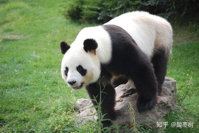 715售楼处发布：奢华生活新定义！凯发Φ外滩天幕1715 外滩天幕1(图3)