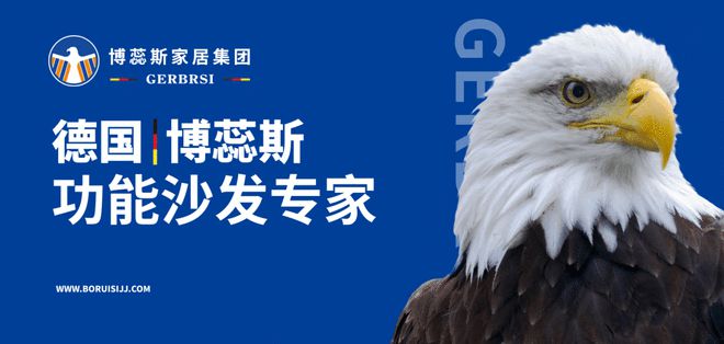 能沙发专家 大国隐形冠军凯发一触即发博蕊斯——功(图4)
